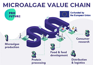 Microalgas: ingredientes con alto valor proteico para la alimentación del futuro